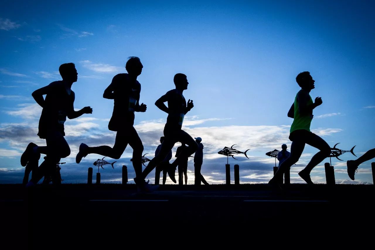 报名| 7月·黄金海岸马拉松:观鲸看海逗考拉,奔跑热辣南半球!