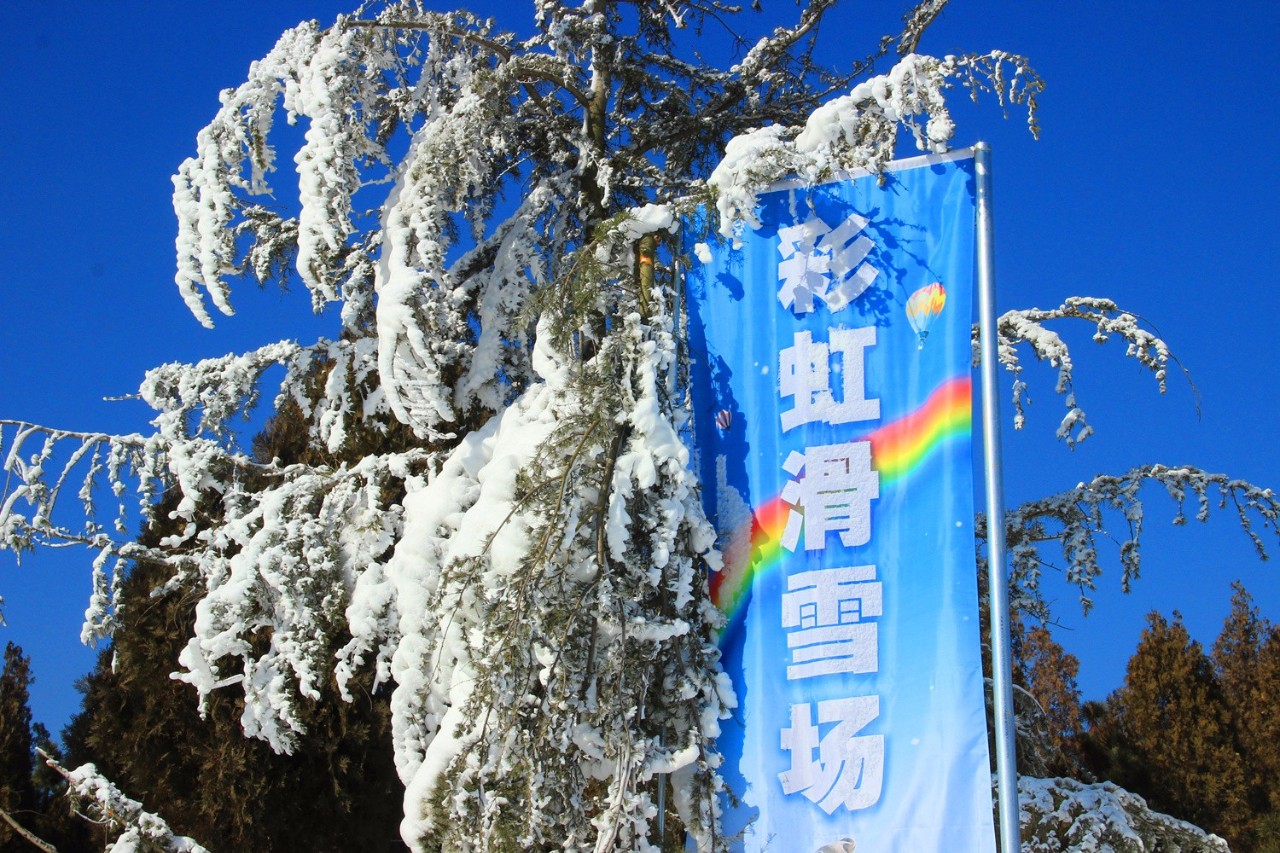 下雪啦 | 2018年雪山彩虹谷的第一场雪,好美!
