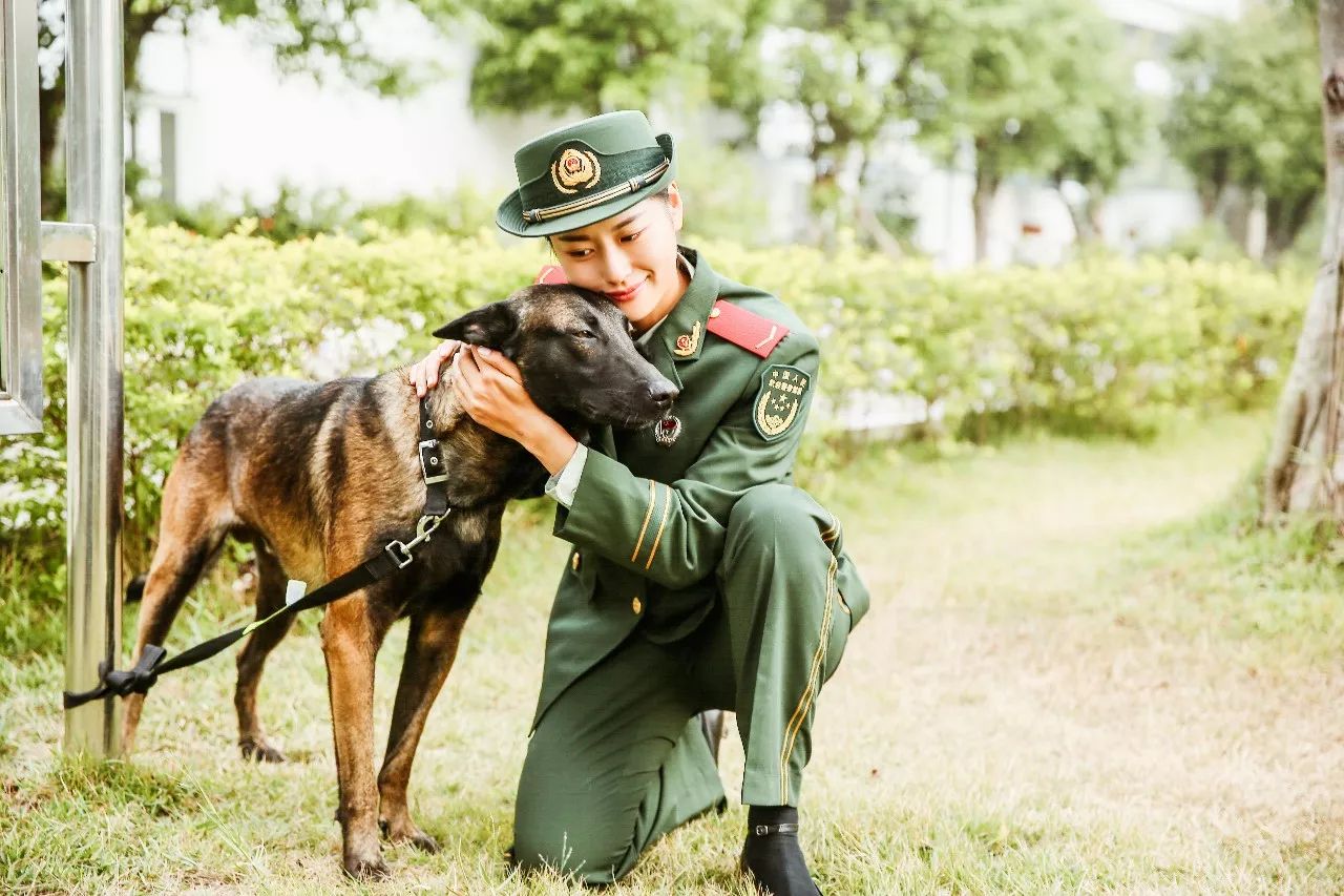 奇兵神犬综艺图片