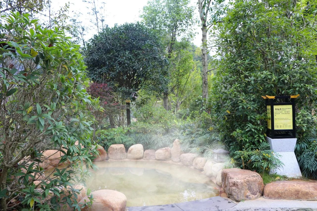 福利丨抢票啦贵阳万象温泉门票免费送冬天约泡好去处