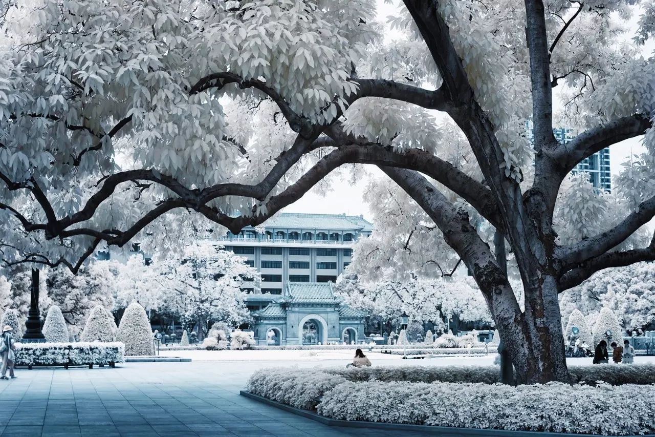 广州雪景图片