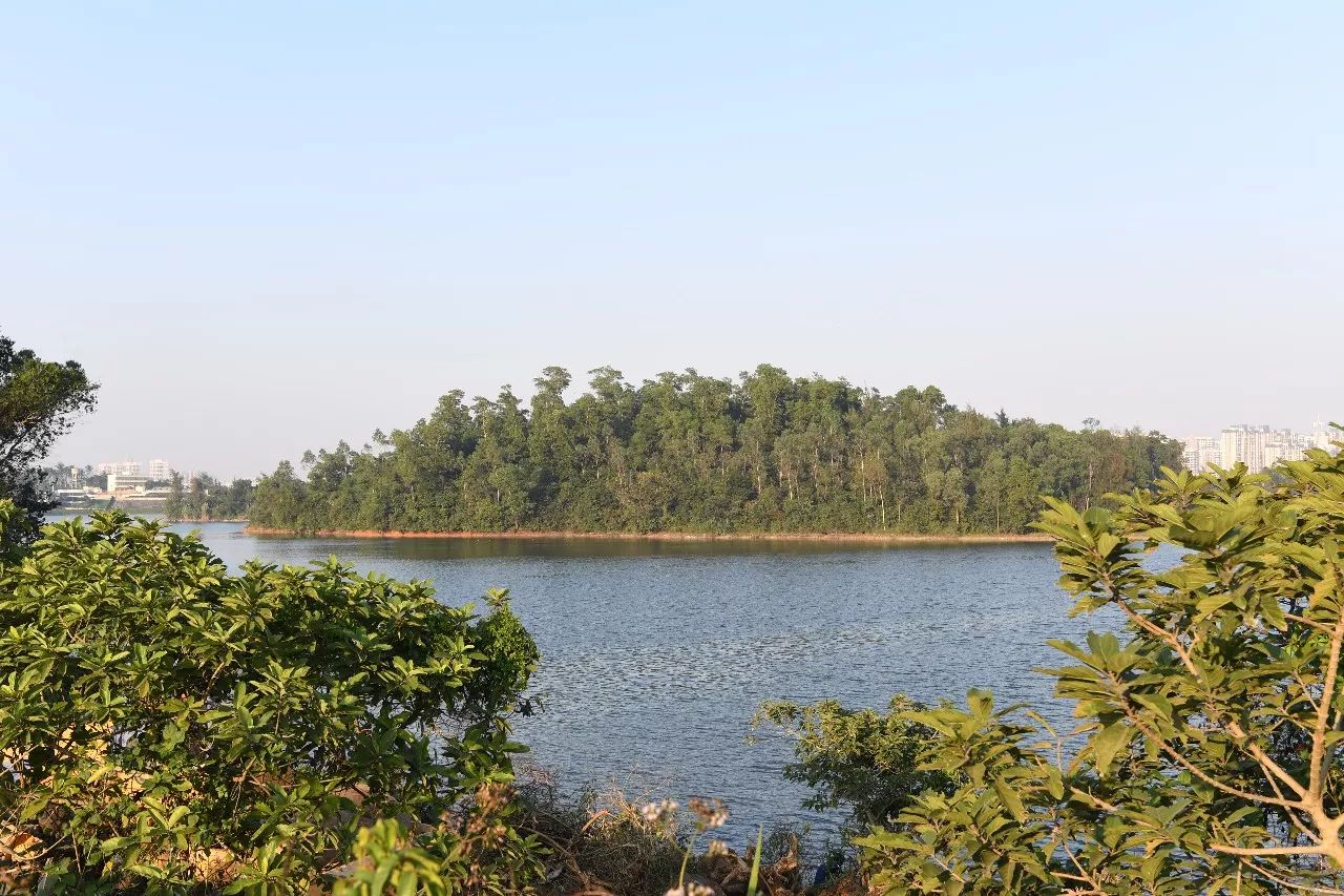 西至海口市石山镇,包括羊山水库,沙坡水库,白水塘湿地公园,那央湿地