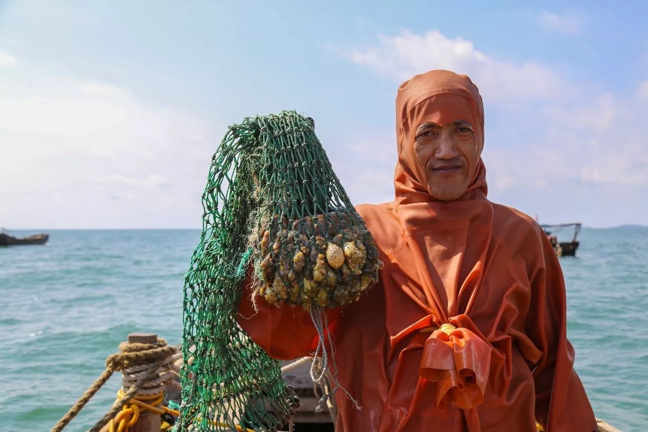 半岛优选速发精品海参大连的新明信片