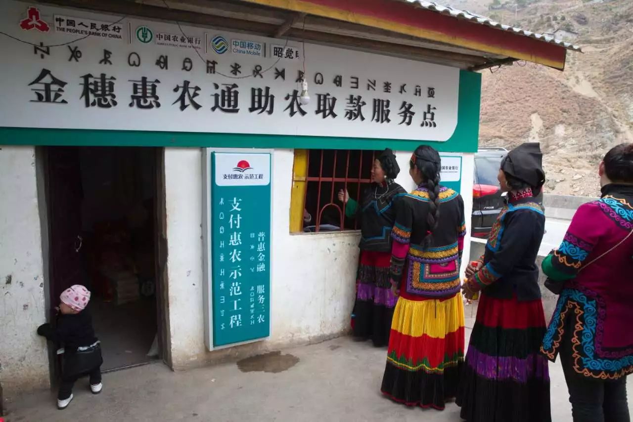 悬崖村天梯挡不住它的爱与温暖