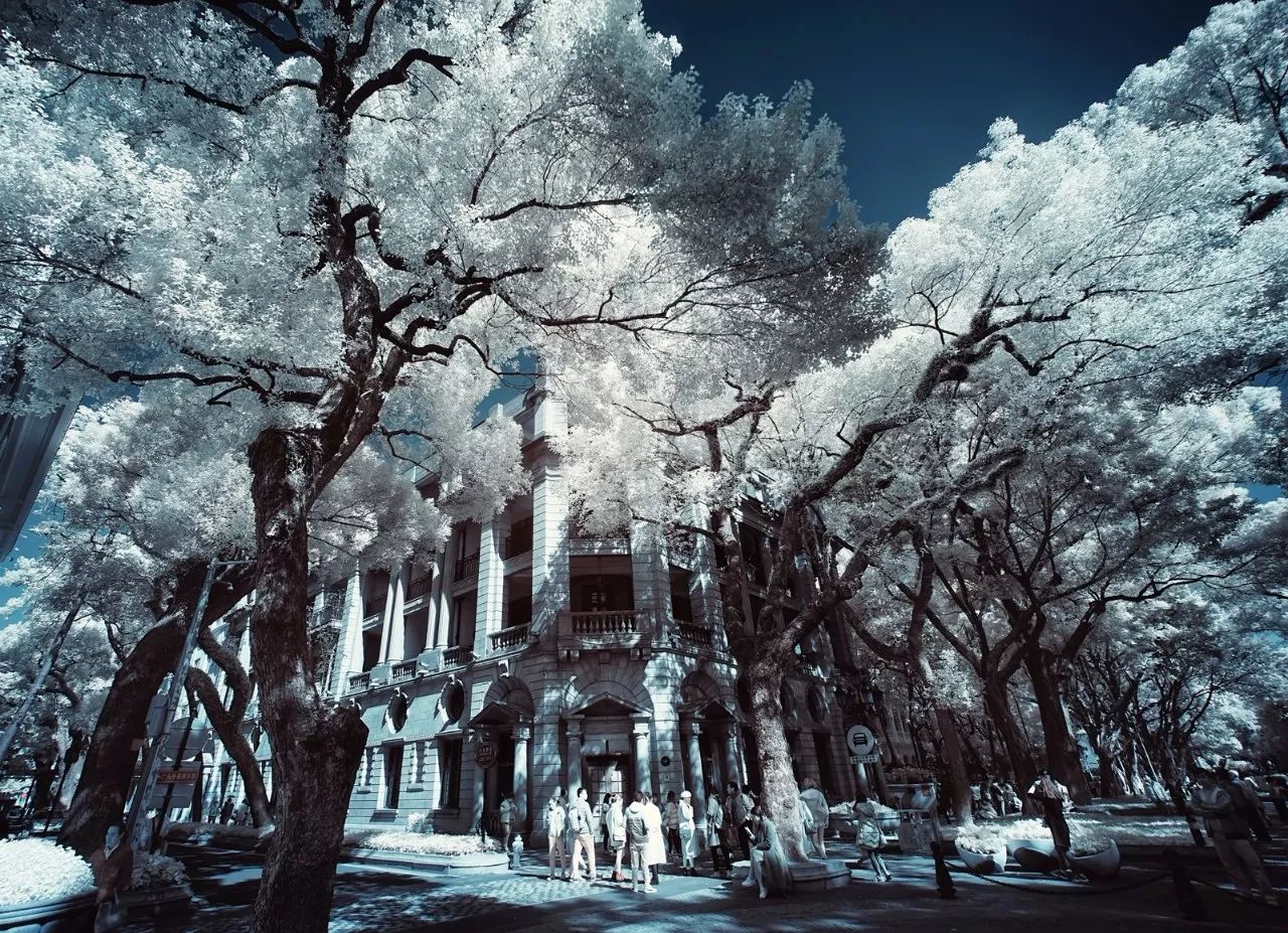 "雪"后的广州,美得让人窒息