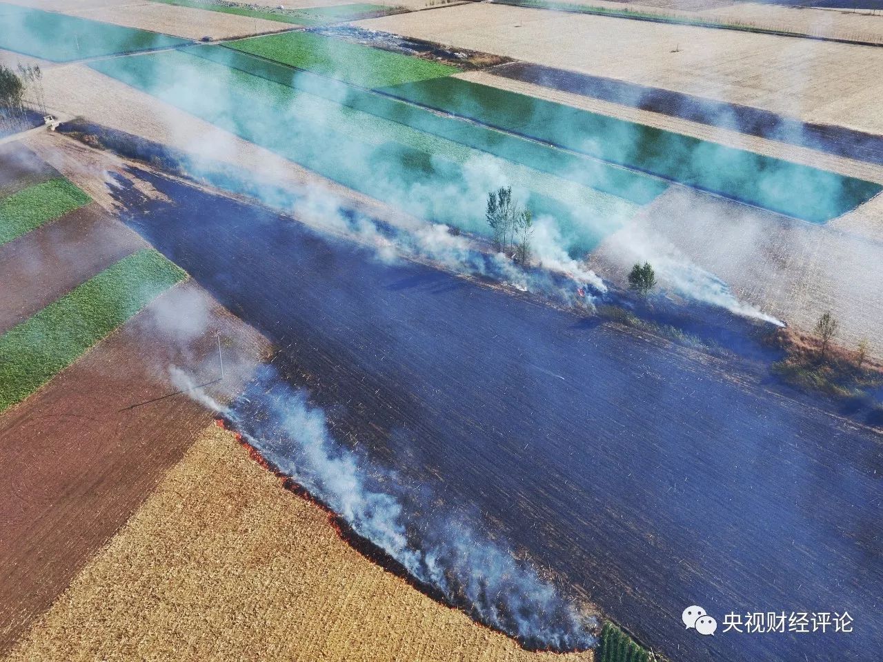 播放财经新闻屡总队高大度山里评价的简单介绍