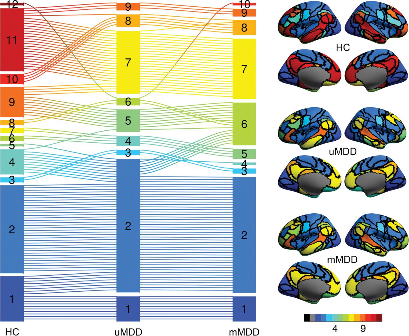 相关研究成果发表在cerebral cortex上.