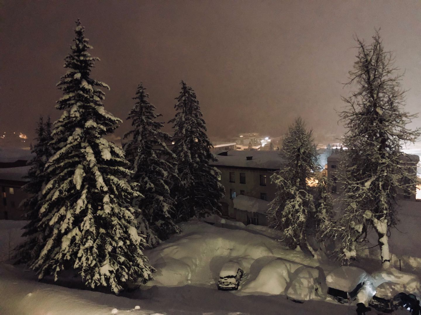 达沃斯侧记年会逢经济甜蜜期小镇迎48年最大降雪