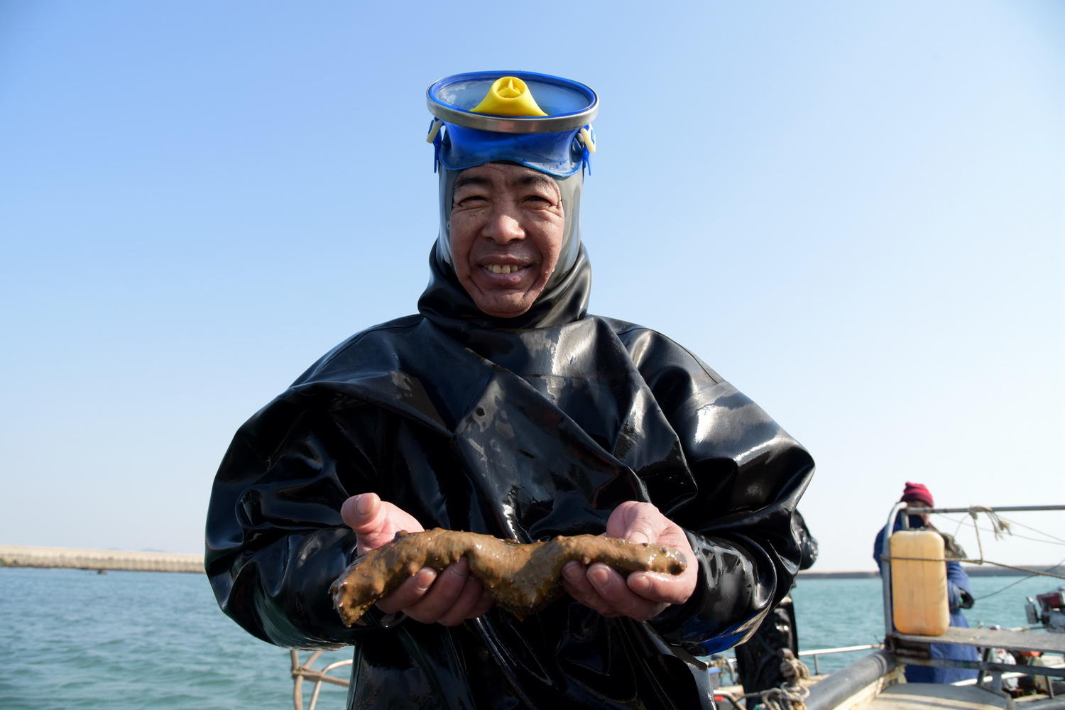 海参竟是这样捞来的,90%老青岛都不知道!