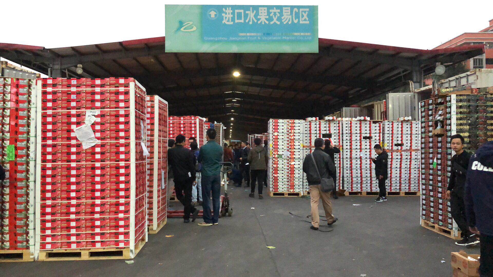 外来和尚好念经智利水果厂商抢夺中国市场