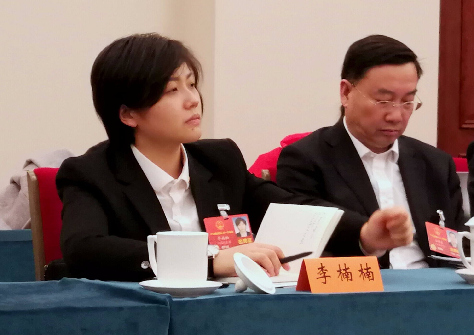 90后代表李楠楠:加快老龄事业发展,满足老年人美好生活需要