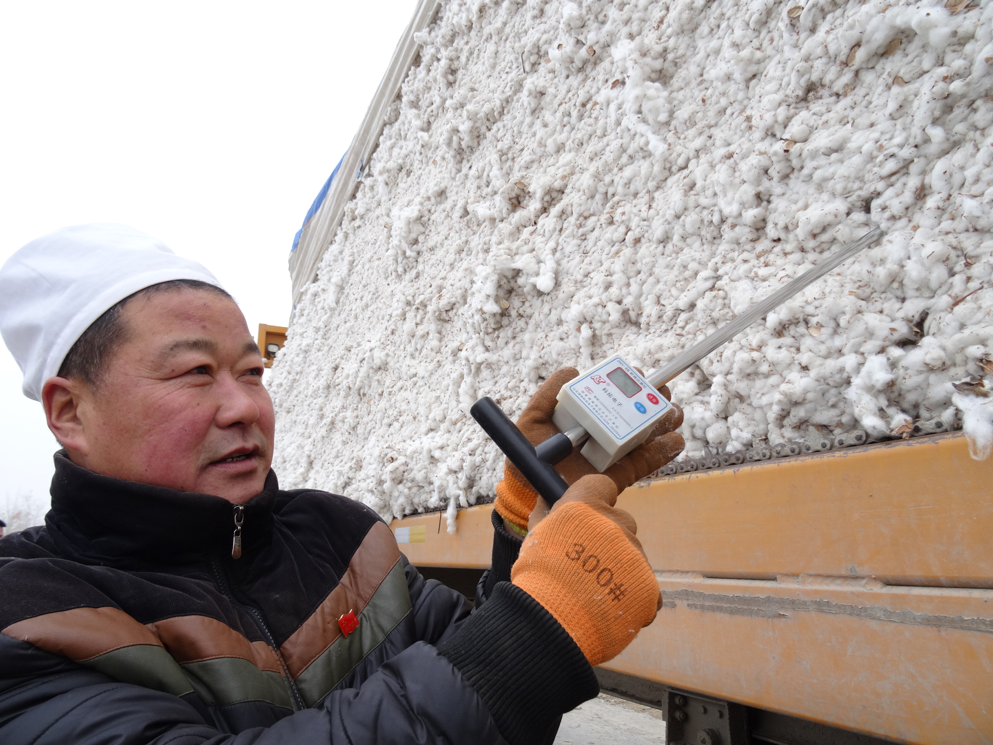 新疆第七师一三0团收购籽棉7100万公斤创历史新高