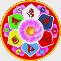 (附视频)|习气|作用|莲花_新浪新闻