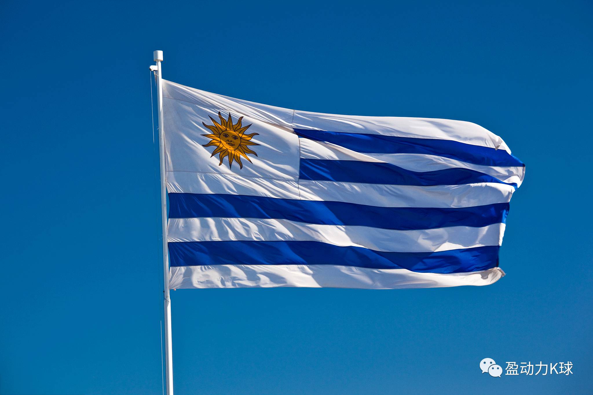 k球世界杯巡礼之乌拉圭:老牌劲旅望重塑辉煌_手机新浪网