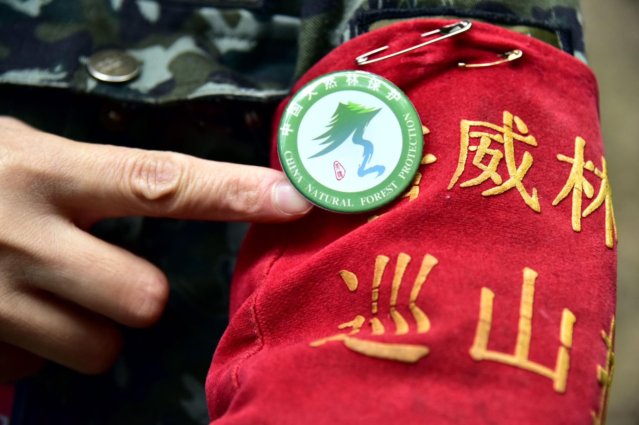 37万人带上生态护林员袖标带动130万人脱贫增收