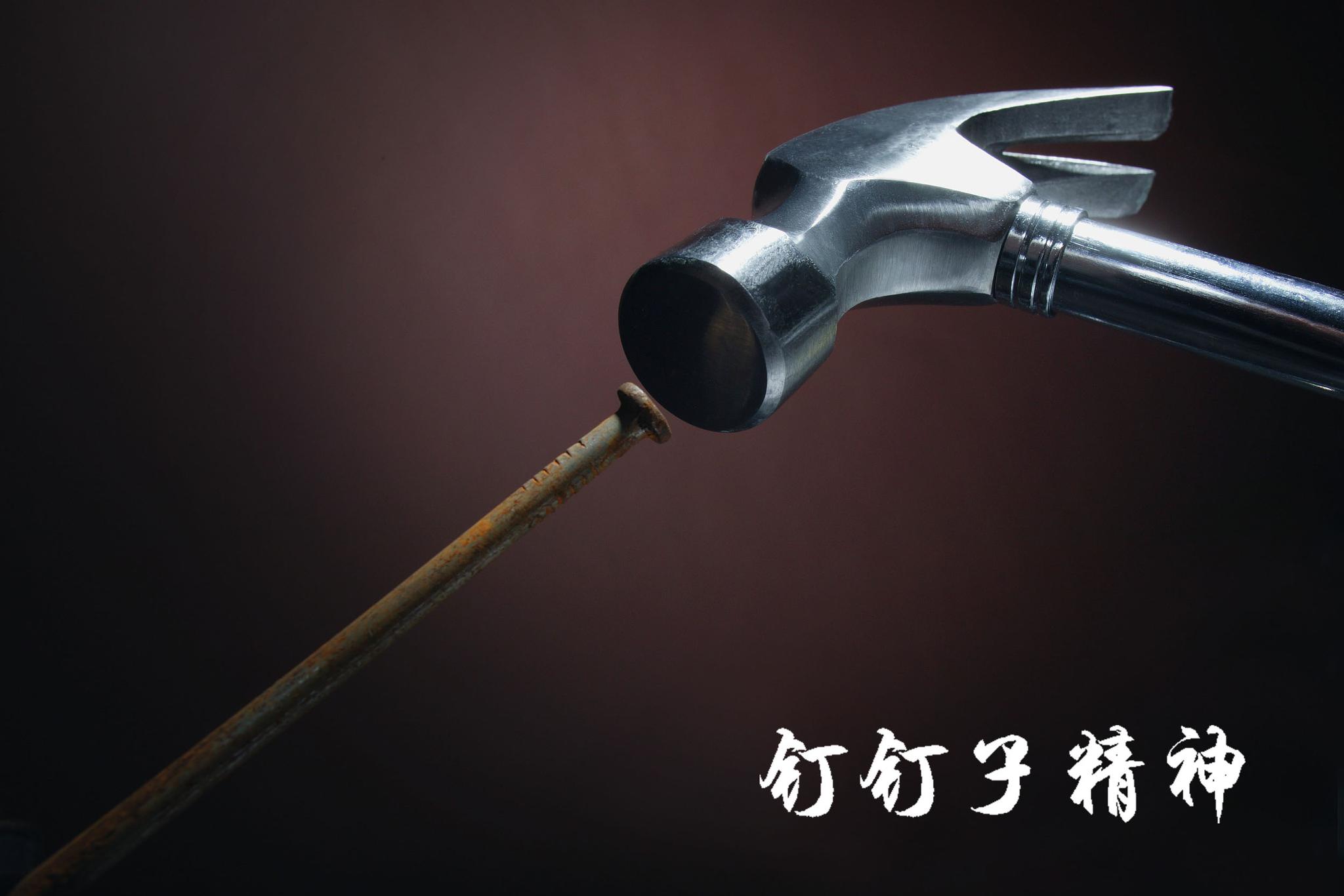 【全会里的文化味儿⑧】钉钉子精神:小钉子钉出大智