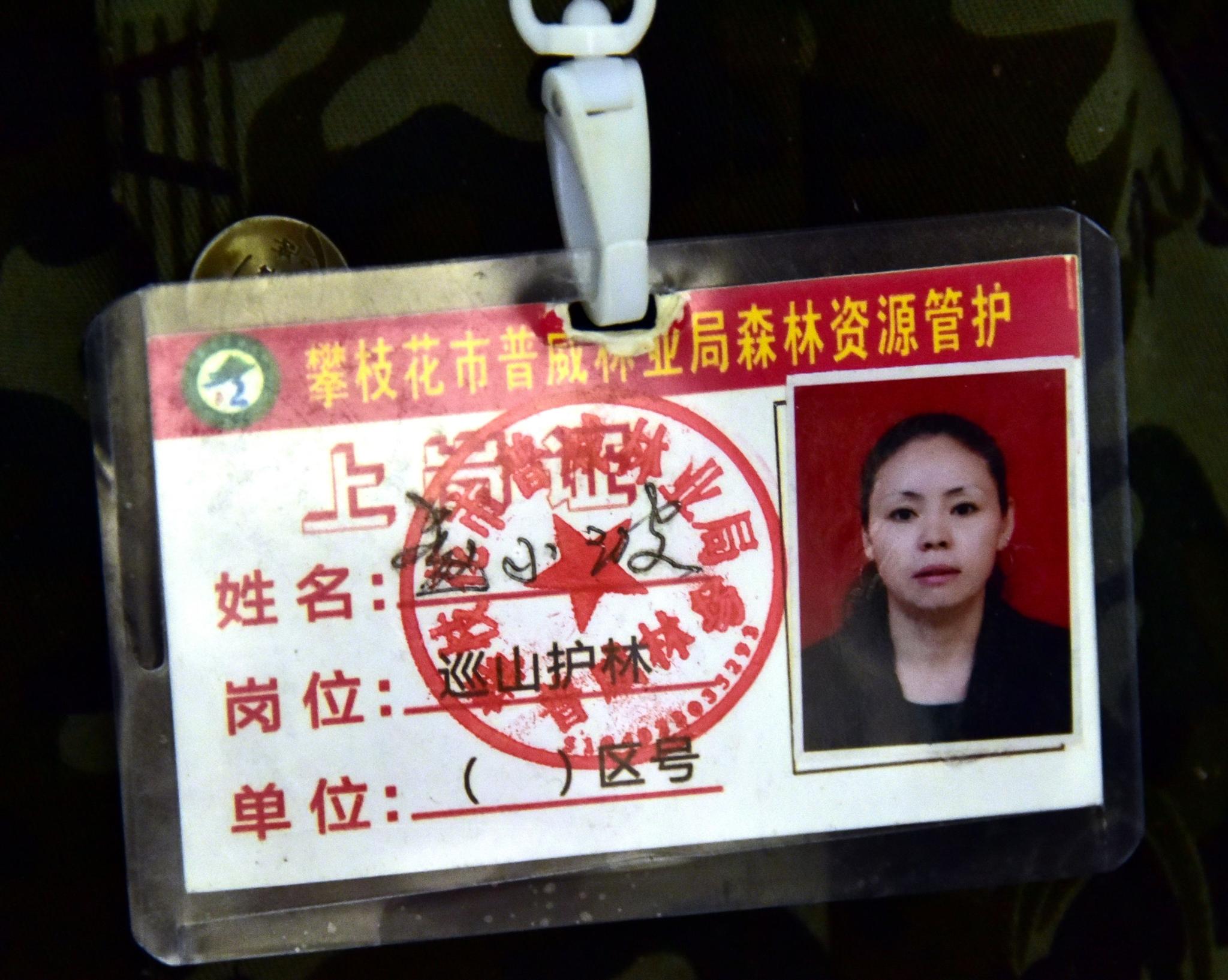 37万人带上生态护林员袖标带动130万人脱贫增收