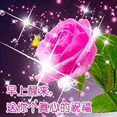 240_240gif 动态图 动图