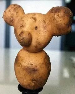 土豆熊