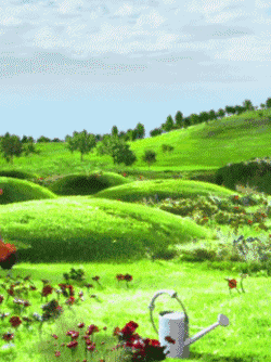 250_334竖版 竖屏gif 动态图 动图