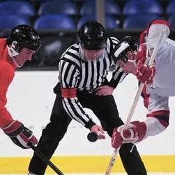 冰球词汇 | 冰球规则小课堂-有关任意球的规则