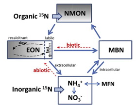 沈阳生态所高肥力农田土壤氮转化的同位素示踪研究获进展