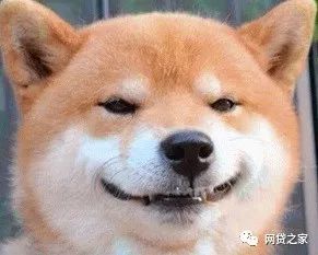 震惊神秘狗头人庆生这些人将爆赚