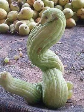 发几张不正经的照片给你看看,笑死人不偿命!专治不开心