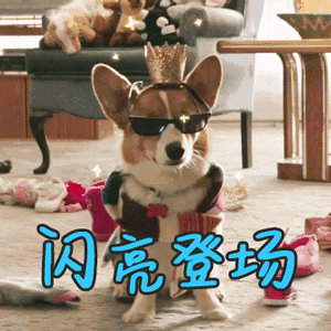 给狗狗办证不用跑断腿啦一篇图文教你用微信全部搞定