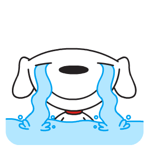 狗年用京东joy狗狗表情包,新年就是要过得不一样~个人