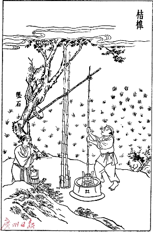 石井:三国名将 凿井泽后