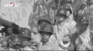 320_177gif 动态图 动图