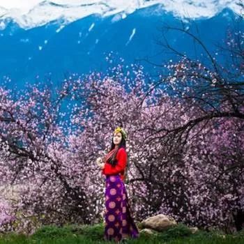 桃花村的女人全文免费阅读