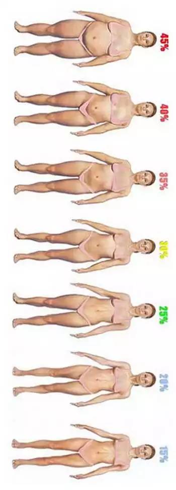 以下是女性不同脂肪百分比水平的全身对比图