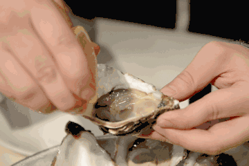 海外生鲜包机直飞中国法国生蚝36小时上广深餐桌