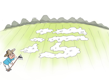 "白色污染"治理业内人士提出新思路