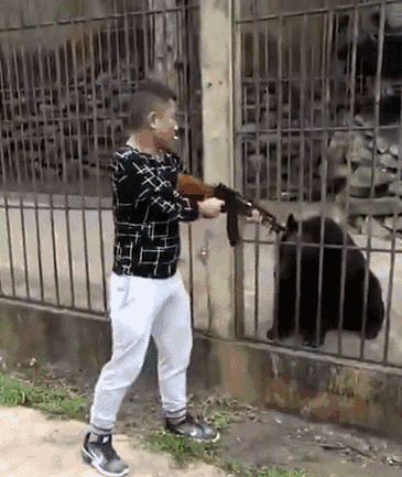 365_433gif 动态图 动图