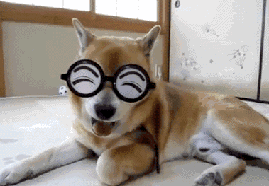 内涵搞笑:新郎此刻肯定在想:怕不是有诈!