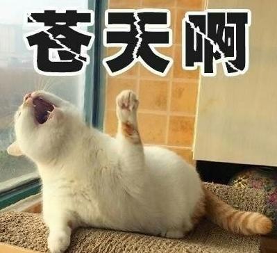 见识来自古老东方的邪术 每日轻松一刻1月23日晚间版