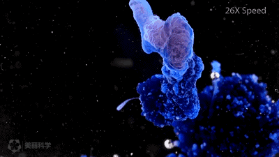 枯燥的化学实验原来这么有艺术气息,梁琰说美丽化学是中科大和清华