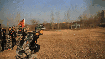 400_225gif 动态图 动图