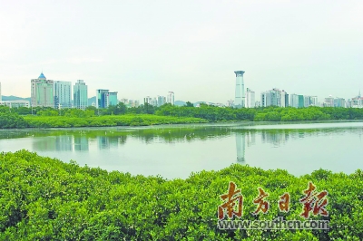 深圳地处南海之滨,拥有1145平方公里的海域面积和超过260公里的海岸线