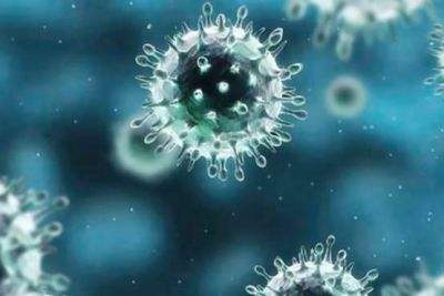 14年后,科学家终于搞清楚了sars是从哪来的|科学家|蝙蝠|冠状病毒