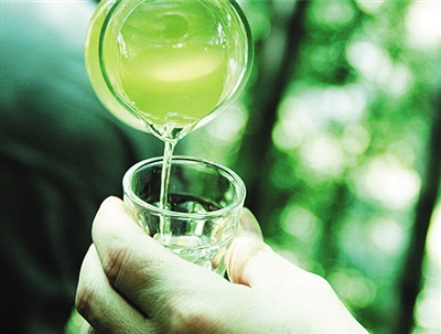 竹液中隐藏的秘密就这样揭开