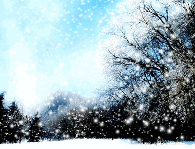 400_305gif 动态图 动图