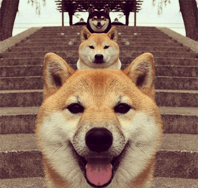 2018年戳心戳肺的狗年限量版 亮瞎24k钛合金狗眼!