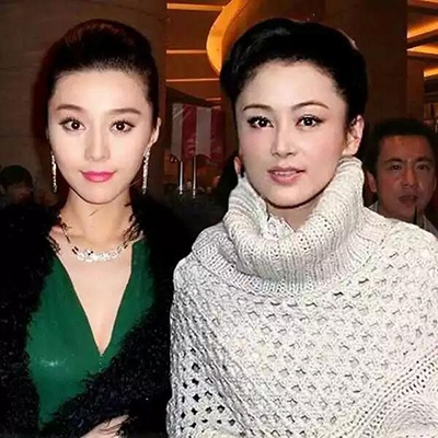 陈红范冰冰合照这样的美,才称得上是绝色啊.