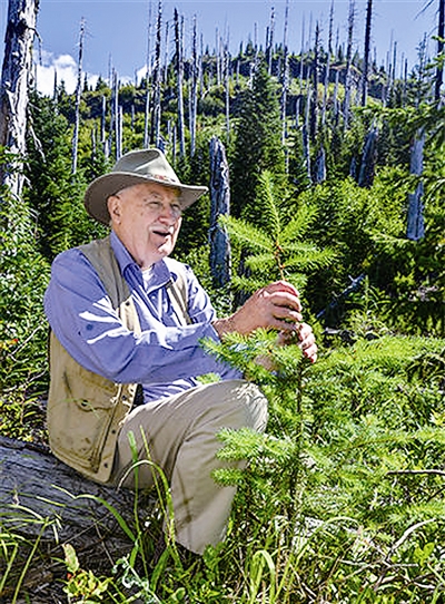 地区是美国重要的林区,分布着大量国有林地,私人林地以及木材生产商