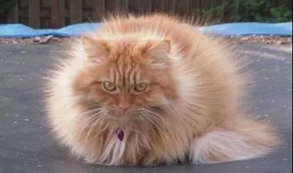 注意噼里啪啦的静电惹人烦还对身体有这些危害附防电方法