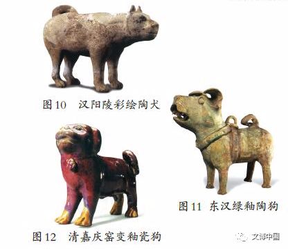 狗年说狗︱狗是人类最早的家养动物,丰富古人对友情的认识
